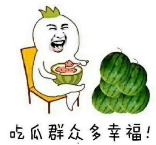 娱乐圈可以吃瓜吗